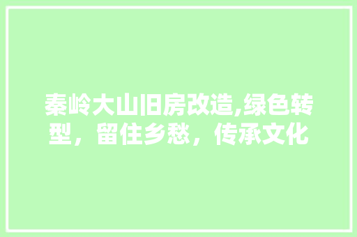 秦岭大山旧房改造,绿色转型，留住乡愁，传承文化