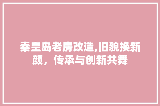 秦皇岛老房改造,旧貌换新颜，传承与创新共舞