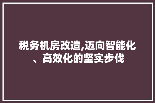 税务机房改造,迈向智能化、高效化的坚实步伐