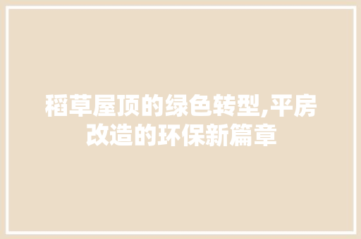 稻草屋顶的绿色转型,平房改造的环保新篇章