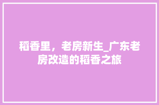 稻香里，老房新生_广东老房改造的稻香之旅
