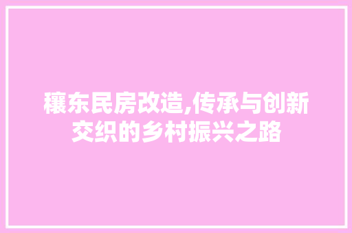 穰东民房改造,传承与创新交织的乡村振兴之路