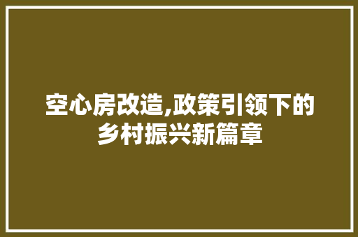 空心房改造,政策引领下的乡村振兴新篇章