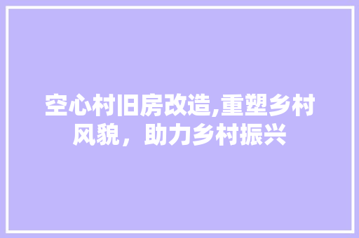 空心村旧房改造,重塑乡村风貌，助力乡村振兴
