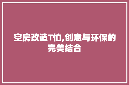 空房改造T恤,创意与环保的完美结合 户内维修