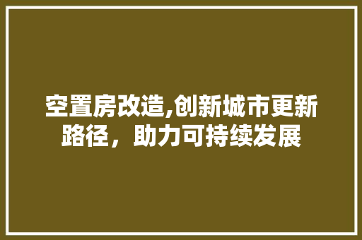 空置房改造,创新城市更新路径，助力可持续发展 厨房维修