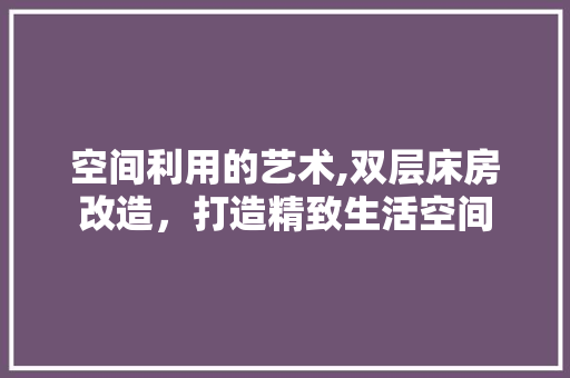 空间利用的艺术,双层床房改造，打造精致生活空间 家电维修
