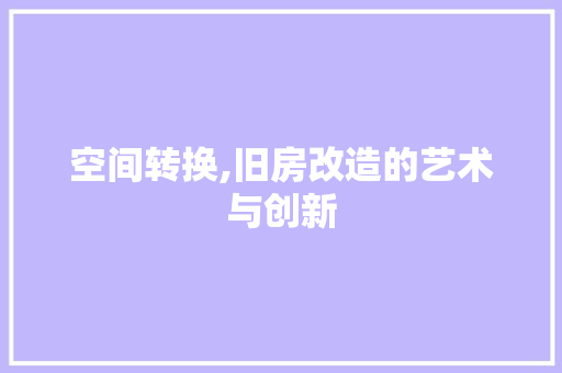 空间转换,旧房改造的艺术与创新