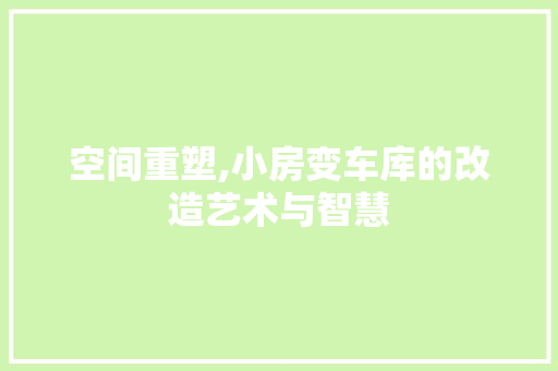 空间重塑,小房变车库的改造艺术与智慧