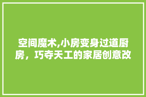 空间魔术,小房变身过道厨房，巧夺天工的家居创意改造