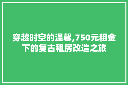 穿越时空的温馨,750元租金下的复古租房改造之旅