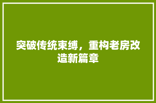 突破传统束缚，重构老房改造新篇章
