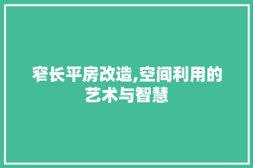 窄长平房改造,空间利用的艺术与智慧