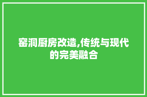 窑洞厨房改造,传统与现代的完美融合