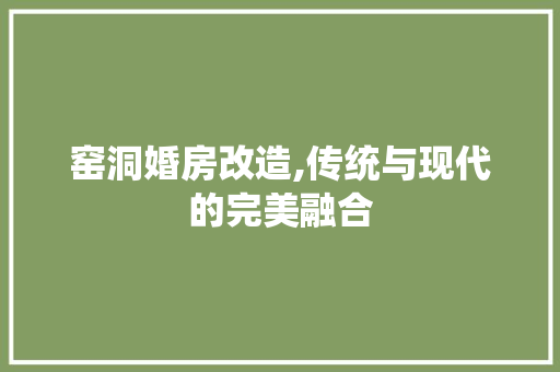 窑洞婚房改造,传统与现代的完美融合 户内维修