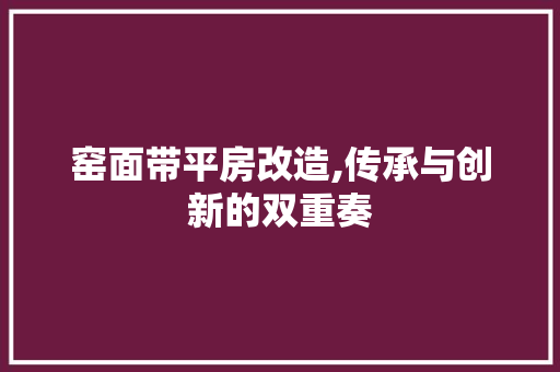 窑面带平房改造,传承与创新的双重奏
