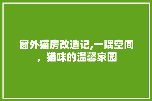 窗外猫房改造记,一隅空间，猫咪的温馨家园