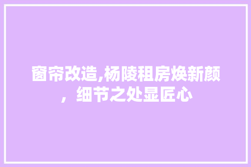 窗帘改造,杨陵租房焕新颜，细节之处显匠心