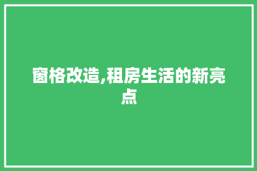 窗格改造,租房生活的新亮点