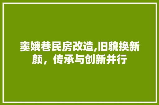 窦娥巷民房改造,旧貌换新颜，传承与创新并行