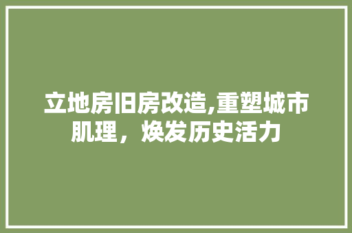 立地房旧房改造,重塑城市肌理，焕发历史活力