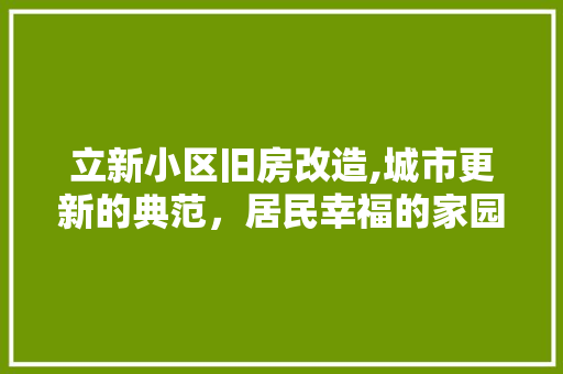 立新小区旧房改造,城市更新的典范，居民幸福的家园