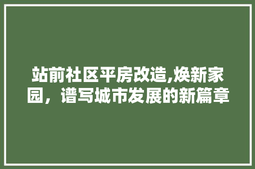 站前社区平房改造,焕新家园，谱写城市发展的新篇章