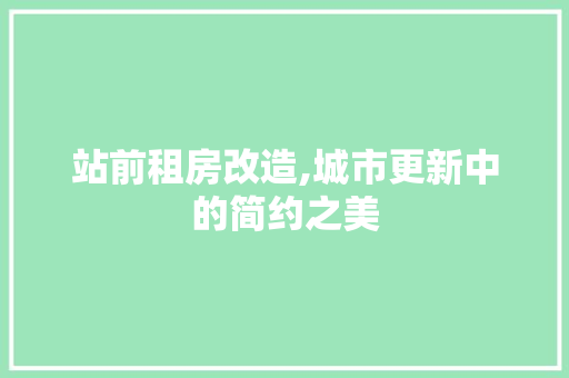 站前租房改造,城市更新中的简约之美