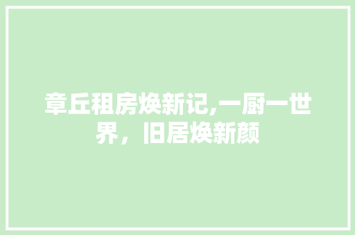 章丘租房焕新记,一厨一世界，旧居焕新颜