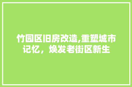 竹园区旧房改造,重塑城市记忆，焕发老街区新生