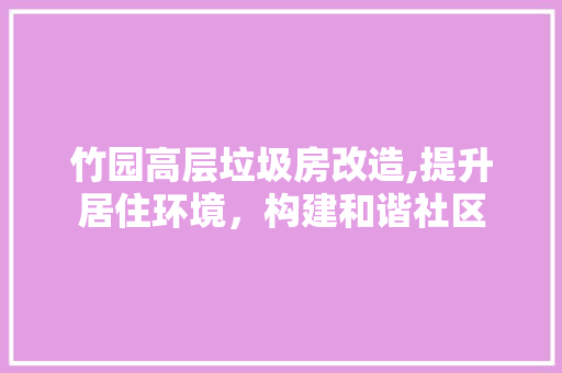 竹园高层垃圾房改造,提升居住环境，构建和谐社区