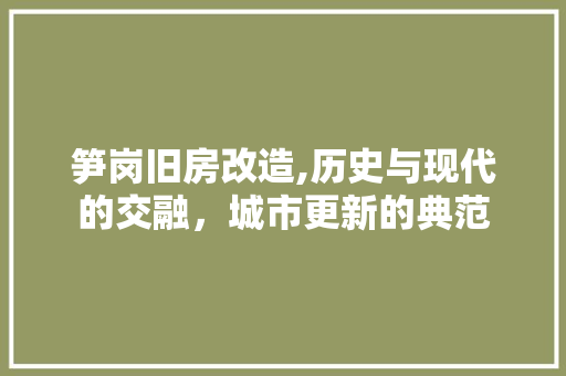 笋岗旧房改造,历史与现代的交融，城市更新的典范