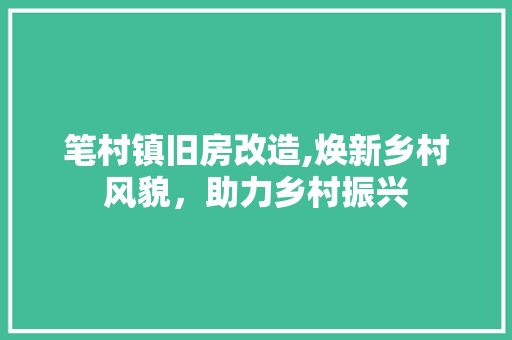笔村镇旧房改造,焕新乡村风貌，助力乡村振兴