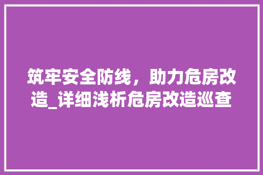 筑牢安全防线，助力危房改造_详细浅析危房改造巡查工作