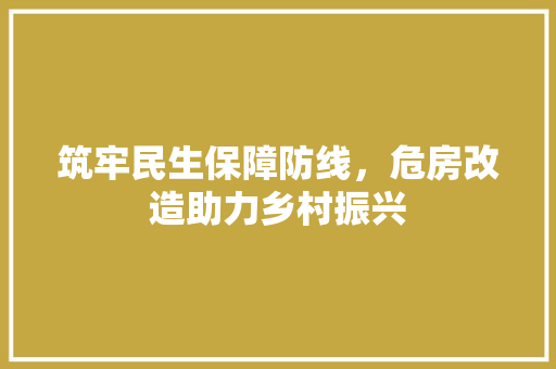筑牢民生保障防线，危房改造助力乡村振兴