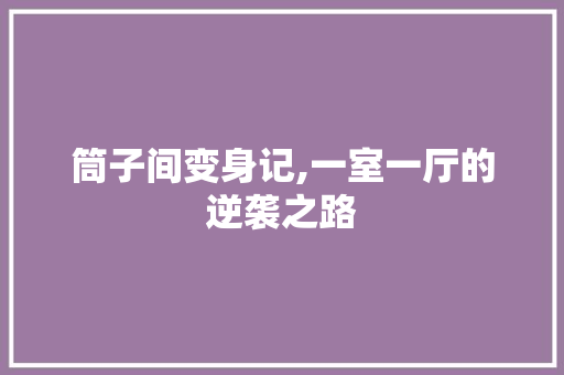 筒子间变身记,一室一厅的逆袭之路