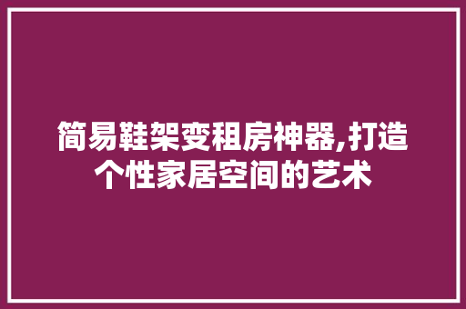 简易鞋架变租房神器,打造个性家居空间的艺术