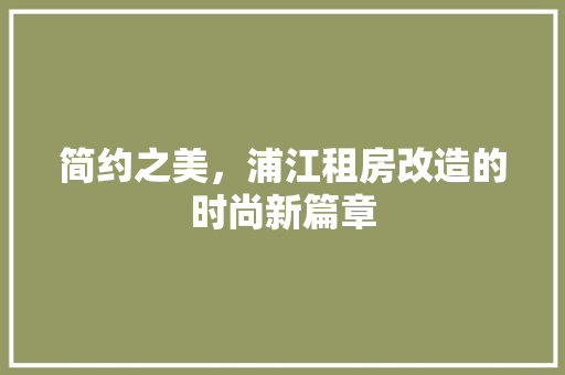 简约之美，浦江租房改造的时尚新篇章