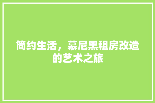 简约生活，慕尼黑租房改造的艺术之旅