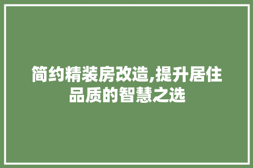 简约精装房改造,提升居住品质的智慧之选
