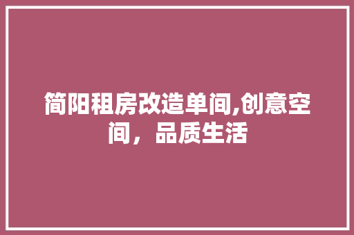 简阳租房改造单间,创意空间，品质生活