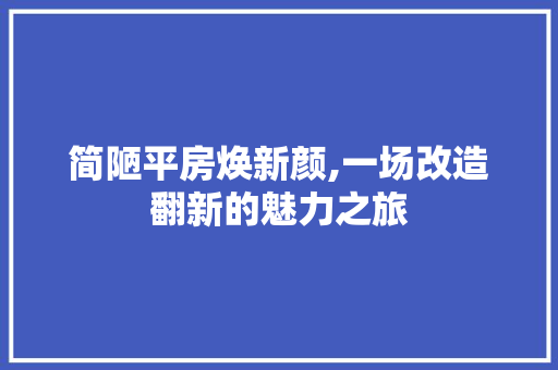 简陋平房焕新颜,一场改造翻新的魅力之旅