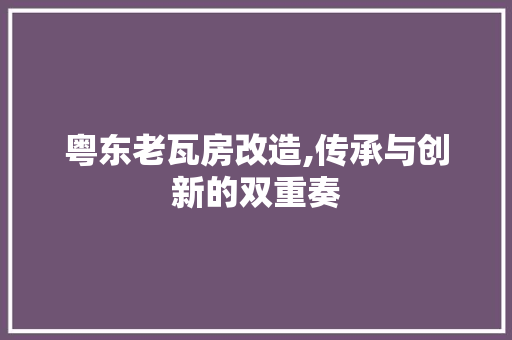 粤东老瓦房改造,传承与创新的双重奏