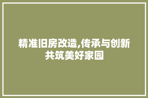 精准旧房改造,传承与创新共筑美好家园 家电维修