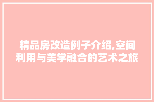 精品房改造例子介绍,空间利用与美学融合的艺术之旅