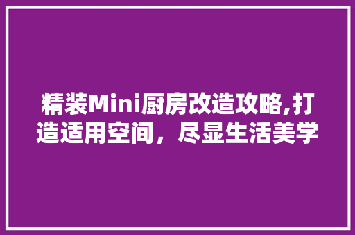 精装Mini厨房改造攻略,打造适用空间，尽显生活美学