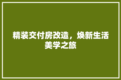 精装交付房改造，焕新生活美学之旅