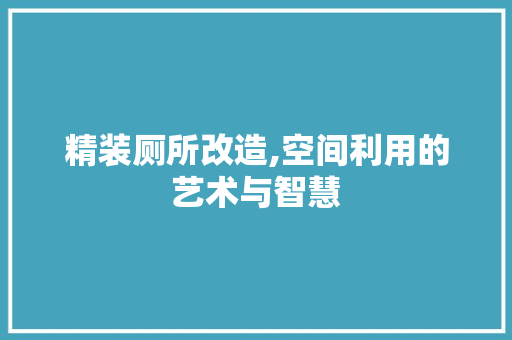 精装厕所改造,空间利用的艺术与智慧
