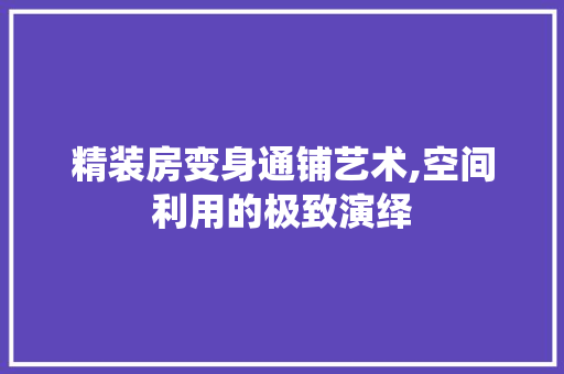 精装房变身通铺艺术,空间利用的极致演绎