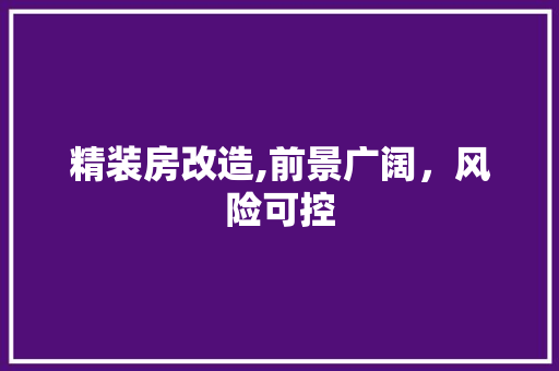 精装房改造,前景广阔，风险可控